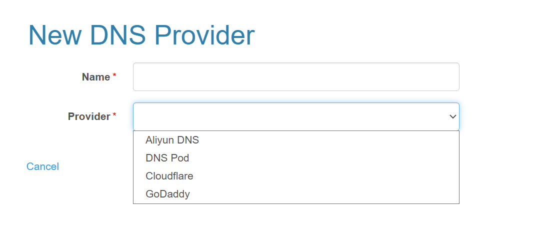 Selecting a DNS Provider Type